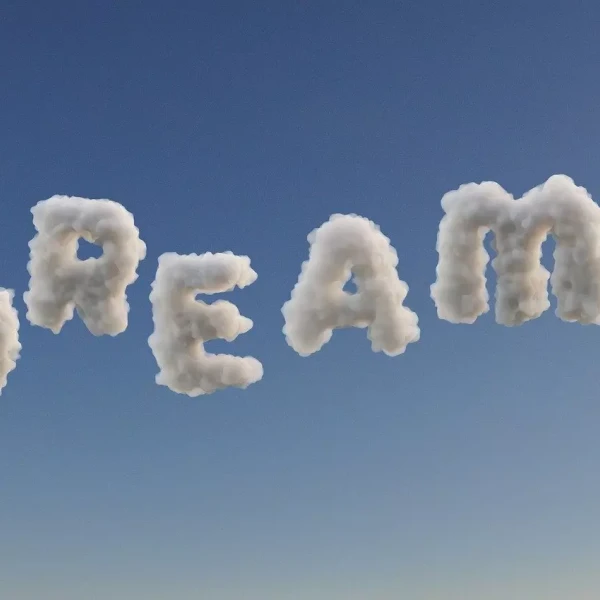 A dream I had last night
