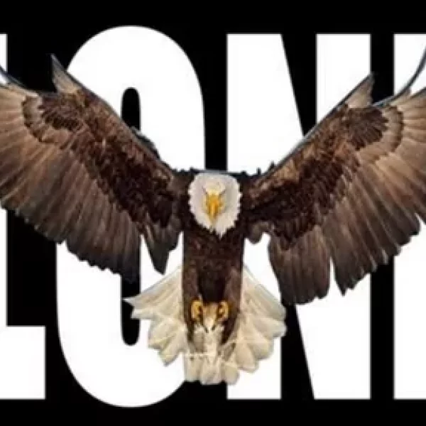A Message from Another Who Sees the "Bible Effect" to Lone Eagle