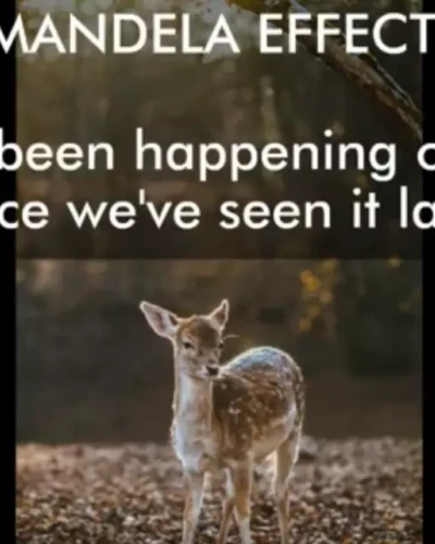 Bozrah Theory Miss Amy - Mandela Effect: What's been happening on Earth since we've seen it last?