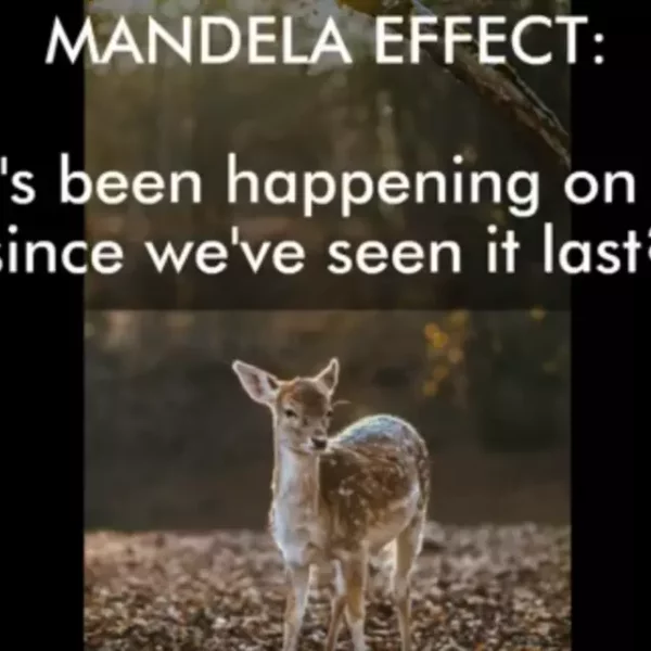Bozrah Theory Miss Amy - Mandela Effect: What's been happening on Earth since we've seen it last?