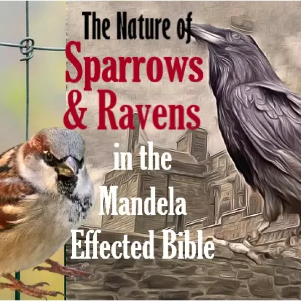 Consider the Sparrows and the Nature of Ravens (Luke 12:24)