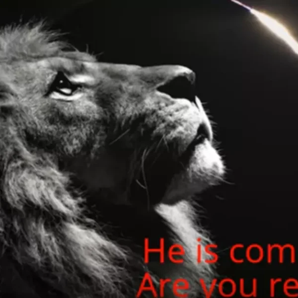 Miss Amy - Mandela Effect: Heavenly Signs. Are you ready?