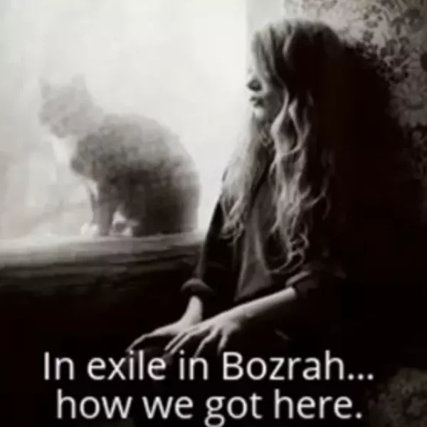 Miss Amy - Mandela Effect: We're in Bozrah Exile. How we got here and why.