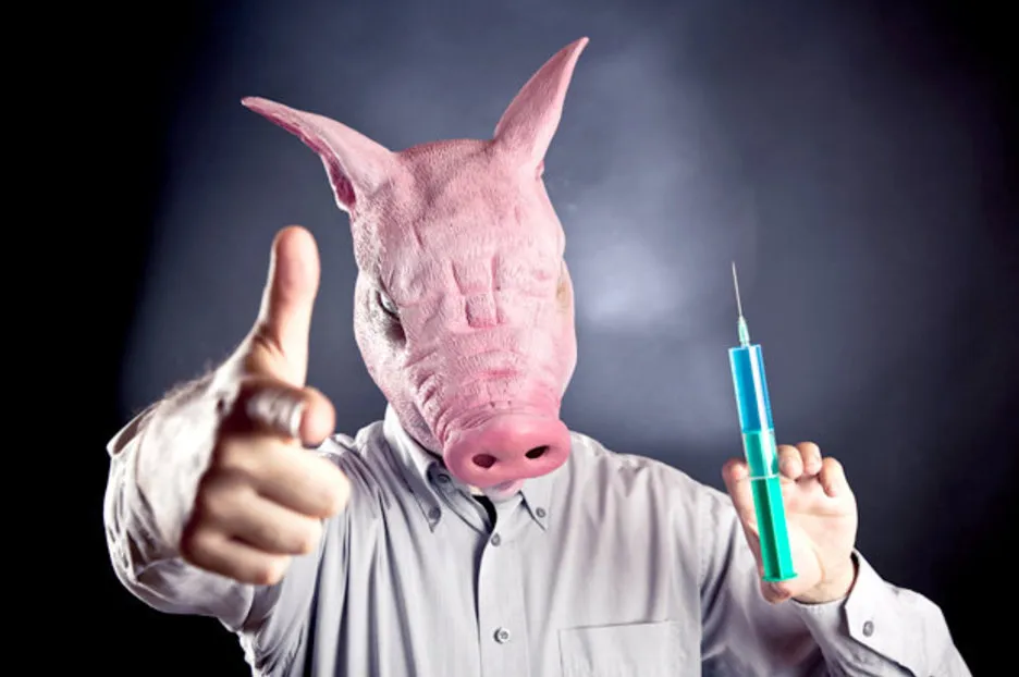 VACCINE PIG