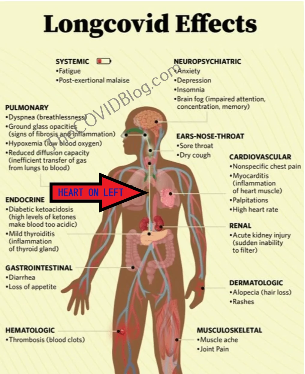 HEART OF LEFT LONG COVID GRAPHIC