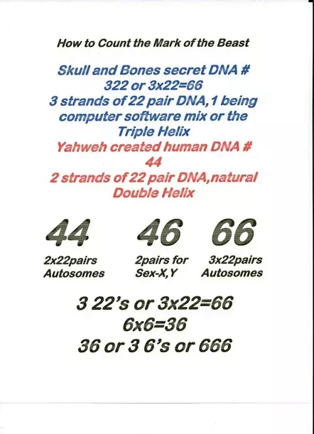 3-22 CHROMOSOMES 44 AND 46