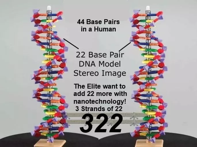 3-22 44 BASE PAIRS CHROMOSOMES