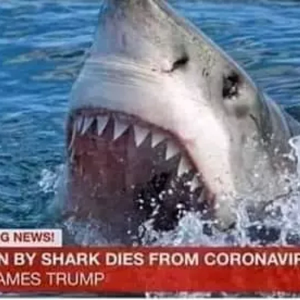 They will lie to you