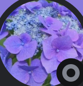 EMaracin sees the Mandela Effect and the Supernatural Bible Changes!